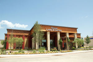 Fairview TXLC